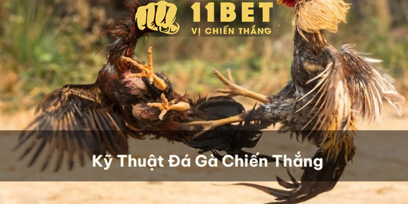 Casino 11bet - Kinh Nghiệm Chơi Dragon Tiger Để Thắng Lớn